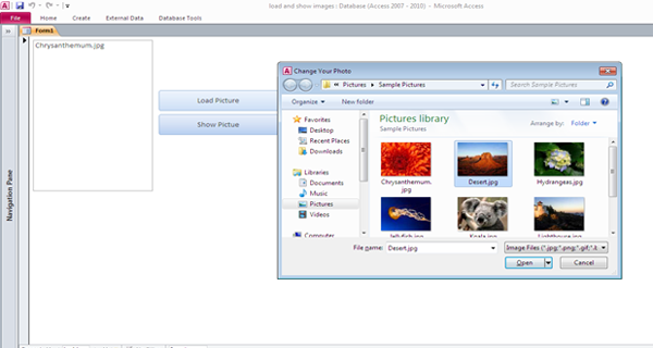 How to Load and show a picture using VBA-Fig:-1.3