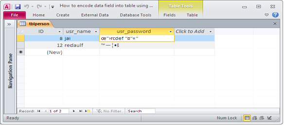 Storing data in encrypted form in MS Access table Fig-1.3