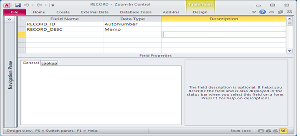 Custom Zoom Box to edit and display data using VBA Fig-1.1