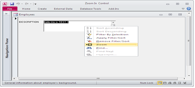 Custom Zoom Box to edit and display data using VBA Fig-1.4