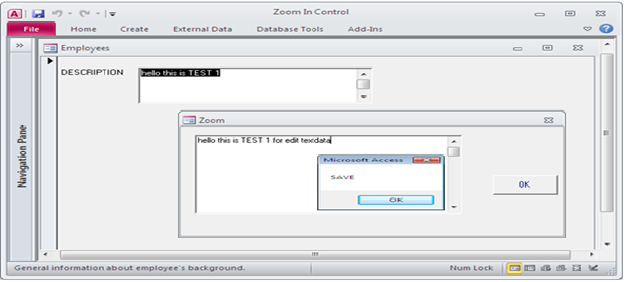 Custom Zoom Box to edit and display data using VBA Fig-1.5