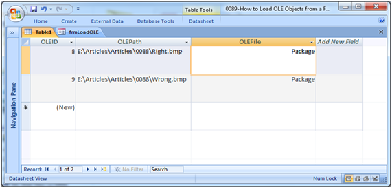 Insert OLE objects in table using MS Access VBA Fig 1.2
